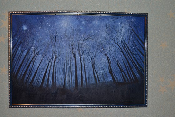 Мои работы: Звездная ночь ( холст масло 40х60)